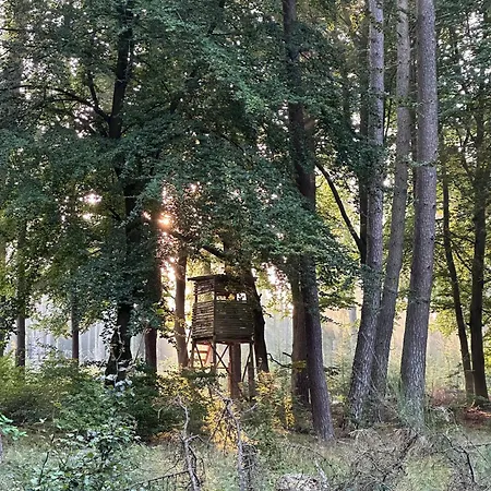 Waldhaus Jellen * Dobbertin
