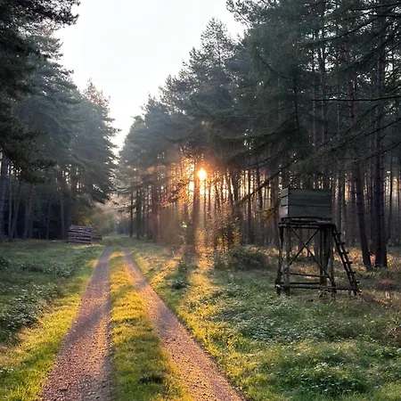 Waldhaus Jellen *