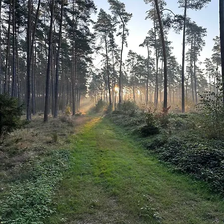 Waldhaus Jellen *
